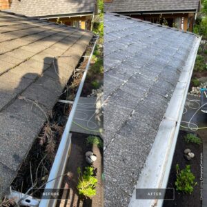 Roof restoration Brisbane