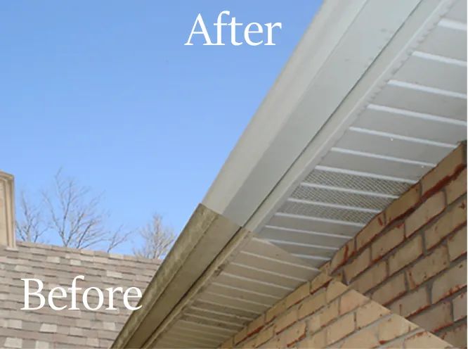 Roof restoration Brisbane