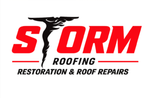 strom-transparent-logo